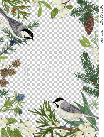 Christmas card with two birds, winter plants and berries. Hand drawn botanical illustration. Spruce, juniper, mistletoe, snowberry. 106855296