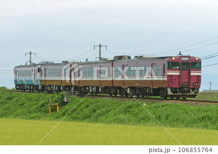 城端線　速星ー千里　JR西日本　キハ47-1002（富山） 106855764