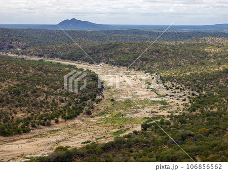 Typical landscape with bush savanna and dry river bed in Africa. 106856562