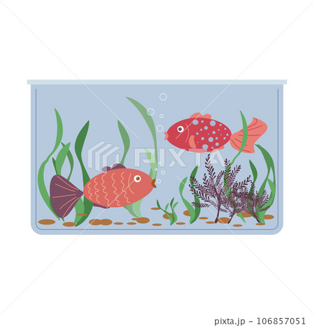 Painted pets - aquarium fish rectangular aquarium. Design banner, poster, pet store and pet supplies. Vector flat illustration. 106857051