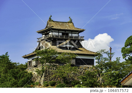 丸岡城　天守閣　福井県坂井市 106857572