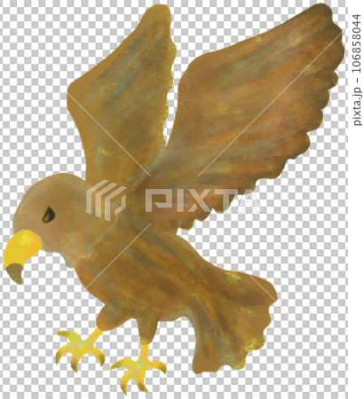 flying hawk flying hawk 106858044