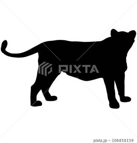 Silhouette beautiful jaguar on a white background Silhouette beautiful jaguar on a white background 106858159