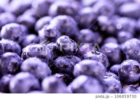Freshly picked blueberries with water drops as background. Blueberries close up Freshly picked blueberries with water drops as background. Blueberries close up 106859730