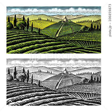 Scenic view of vineyards. Fields and hills of Tuscany. Panoramic vine plantation in Chianti. French 106859873