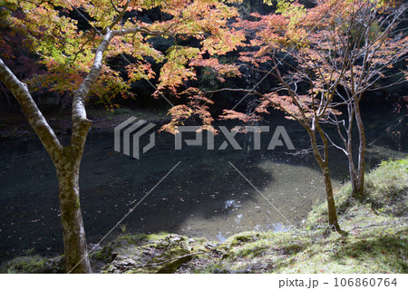 秋の高雄 紅葉の清滝川 京都市右京区 秋の高雄 紅葉の清滝川 京都市右京区 106860764