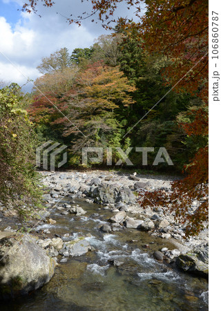秋の高雄 紅葉の清滝川 京都市右京区 秋の高雄 紅葉の清滝川 京都市右京区 106860787