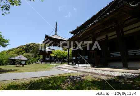 根来寺　大塔と大伝法堂　和歌山県岩出市 106861334