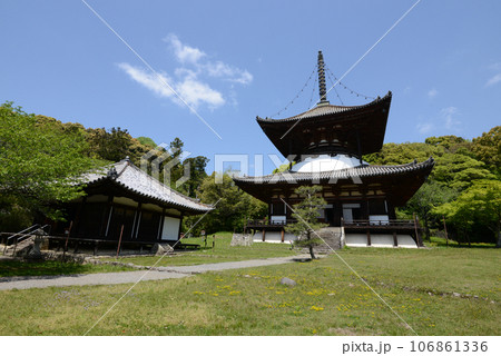 根来寺　大師堂と大塔　和歌山県岩出市 106861336