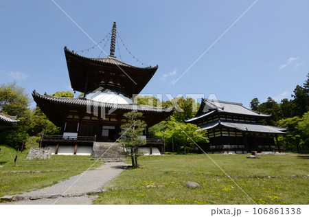 根来寺 大塔と大伝法堂 和歌山県岩出市 根来寺 大塔と大伝法堂 和歌山県岩出市 106861338