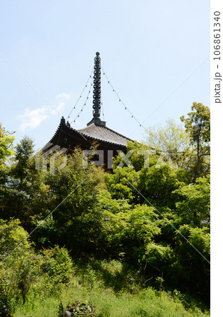 根来寺 大塔 和歌山県岩出市 根来寺 大塔 和歌山県岩出市 106861340