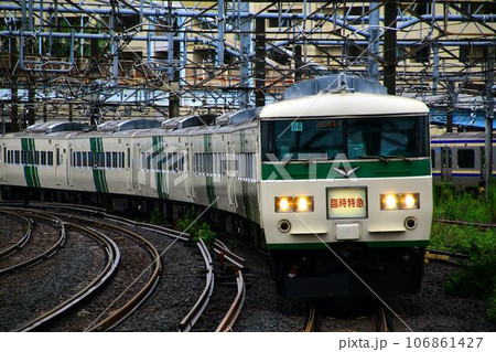 定期運行を終えても大活躍!! 国鉄形特急電車・185系 定期運行を終えても大活躍!! 国鉄形特急電車・185系 106861427