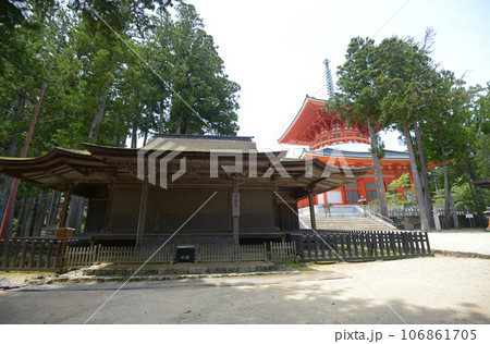 高野山金剛峯寺　不動堂と根本大塔　和歌山県高野町 106861705