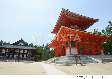 高野山金剛峯寺　金堂と根本大塔　和歌山県高野町 106861708
