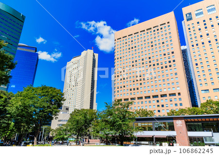 東京　新宿区　新宿副都心の夏空 106862245