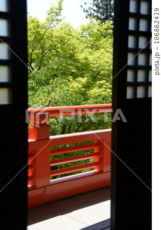 新緑の鞍馬寺 転法輪堂室内からの風景 京都市左京区 新緑の鞍馬寺 転法輪堂室内からの風景 京都市左京区 106862419