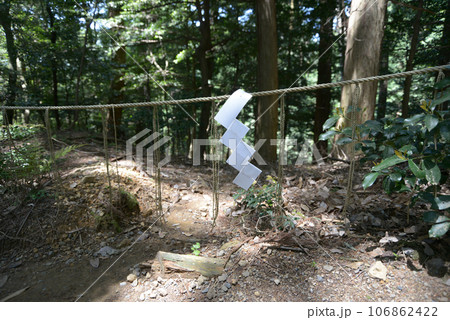 新緑の鞍馬寺 奥の院参道のしめ縄 京都市左京区 新緑の鞍馬寺 奥の院参道のしめ縄 京都市左京区 106862422