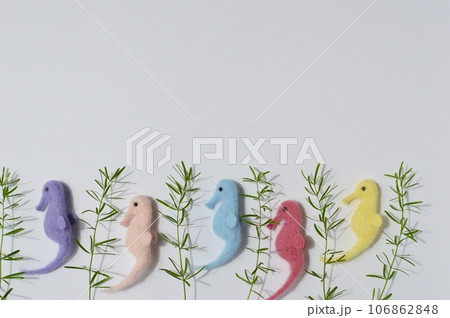 フェルトのタツノオトシゴとアスパラスプレンゲリー 　　 　 　　 　　　　　　 　　　 106862848