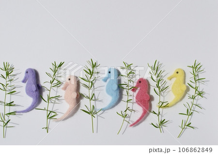 フェルトのタツノオトシゴとアスパラスプレンゲリー 　　 　 　　 　　　　　　 　　　 106862849