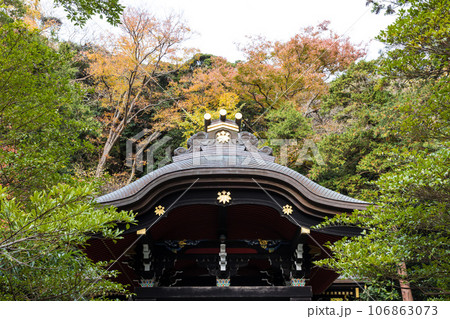 (神奈川県ー風景)秋の白旗神社周辺の紅葉風景1 (神奈川県ー風景)秋の白旗神社周辺の紅葉風景1 106863073