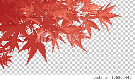 Art-style transparent material cut out from colored maples 106863440