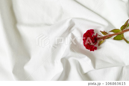 シーツの上の赤いケイトの花 106863615