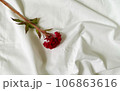 シーツの上の赤いケイトの花 106863616