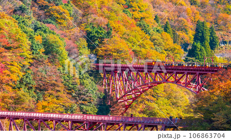 秋の黒部峡谷:新山彦橋を走るトロッコ電車 秋の黒部峡谷:新山彦橋を走るトロッコ電車 106863704