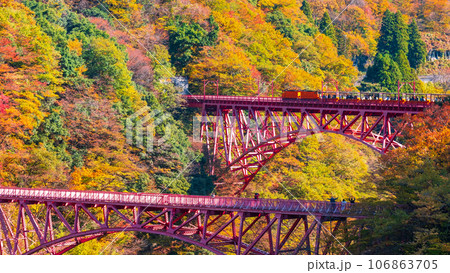 秋の黒部峡谷:新山彦橋を走るトロッコ電車 秋の黒部峡谷:新山彦橋を走るトロッコ電車 106863705