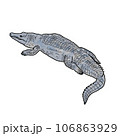 リアルなワニのイラスト 106863929