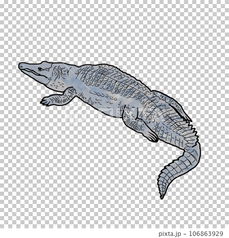 リアルなワニのイラスト リアルなワニのイラスト 106863929