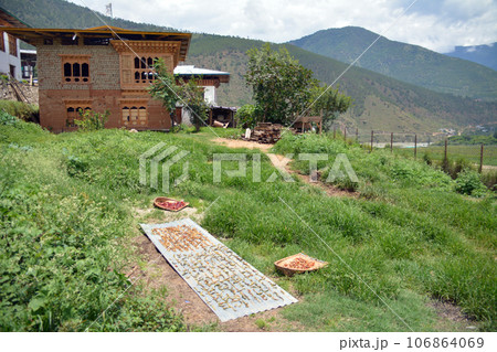 幸せの国ブータン 唐辛子を干している様子（Punakha, Bhutan） 106864069