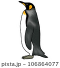 リアルなコウテイペンギンのイラスト 106864077