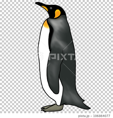 Realistic emperor penguin illustration 106864077