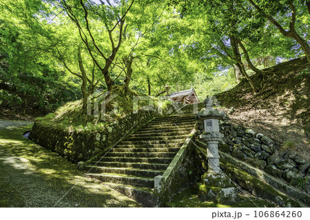 熊川宿　松木神社　参道　福井県若狭町 106864260