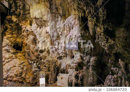 守り獅子 106864720