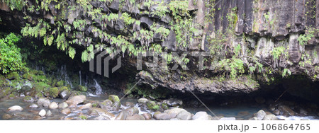 霧島神水峡 柱状節理 霧島神水峡 柱状節理 106864765