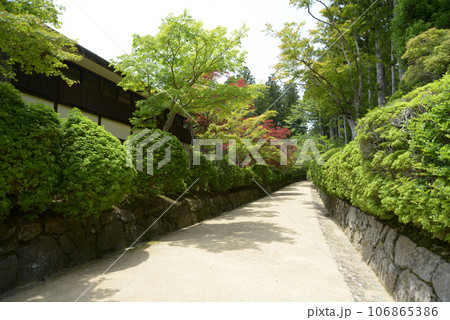 高野山金剛峯寺　蛇腹道　和歌山県高野町 106865386