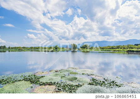 新潟 夏の瓢湖 新潟 夏の瓢湖 106865451