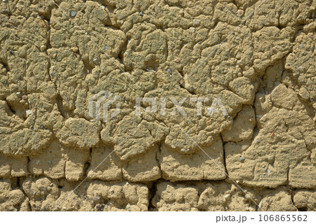 新薬師寺　境内の土塀　奈良市高畑町 106865562