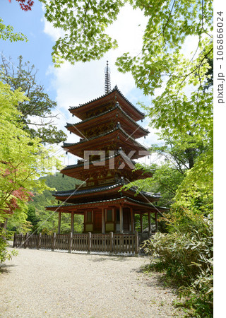 海住山寺　五重塔　京都府木津川市加茂町 106866024