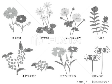 秋に咲く野花 106868597