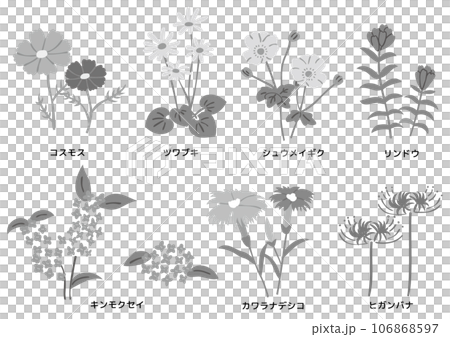 秋に咲く野花 106868597