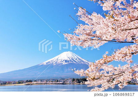 日本の春　富士山と桜 106869817