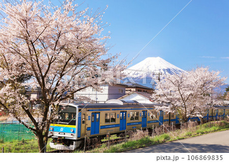 山梨県　春の桜並木と富士急行　そして富士山 106869835