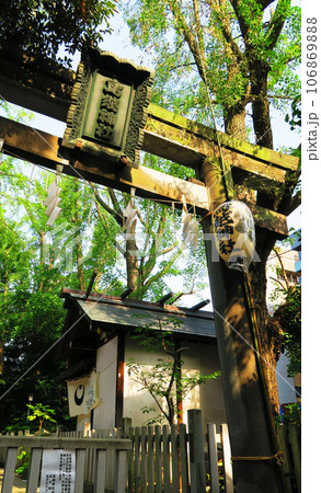 鳥越神社の鳥居の風景 鳥越神社の鳥居の風景 106869888