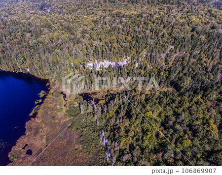 View on the Forest near lake in La Mauricie National Park Quebec, Canada on a beautiful day 106869907