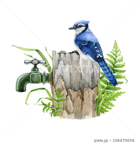 Blue jay perched on a verdurous garden vintage style water tap with wooden base. Watercolor illustration. Hand drawn vintage style overgrown garden faucet with a bird on it. White background 106870056