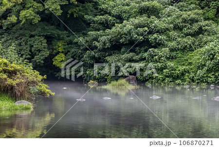 梅雨の時期に咲く花が美しい水のある八景水谷公園 梅雨の時期に咲く花が美しい水のある八景水谷公園 106870271