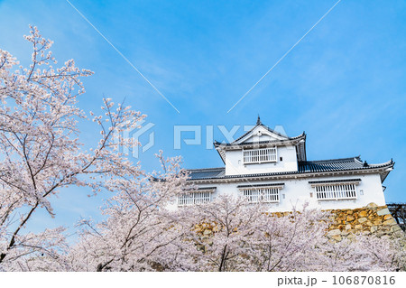 岡山 津山城　～備中櫓と満開の桜～ 106870816